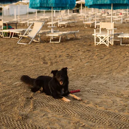 Hotel Antagos Montesilvano Marina