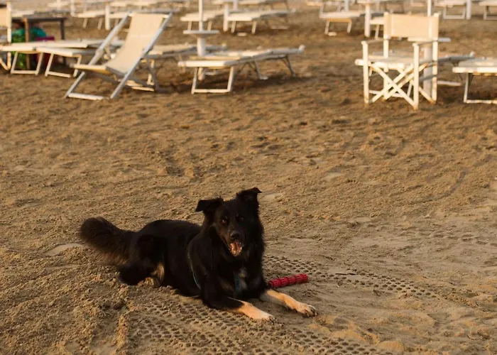 Hotell Antagos Montesilvano Marina